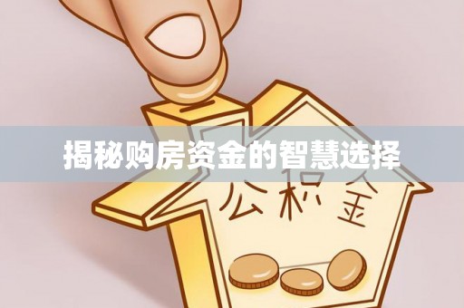 义县揭秘购房资金的智慧选择
