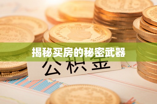义县揭秘买房的秘密武器