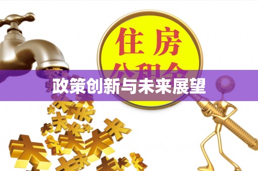 义县政策创新与未来展望