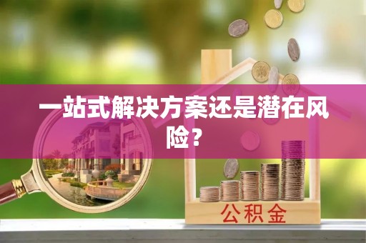 义县一站式解决方案还是潜在风险？